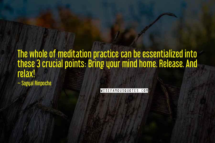 Sogyal Rinpoche Quotes: The whole of meditation practice can be essentialized into these 3 crucial points: Bring your mind home. Release. And relax!