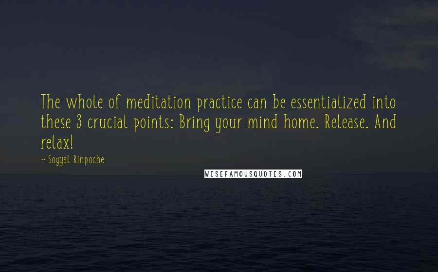 Sogyal Rinpoche Quotes: The whole of meditation practice can be essentialized into these 3 crucial points: Bring your mind home. Release. And relax!