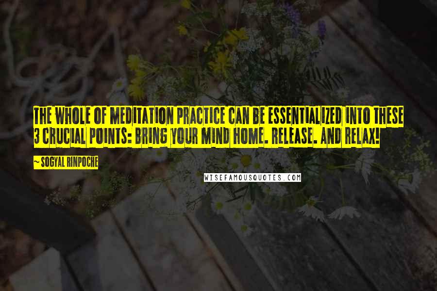 Sogyal Rinpoche Quotes: The whole of meditation practice can be essentialized into these 3 crucial points: Bring your mind home. Release. And relax!