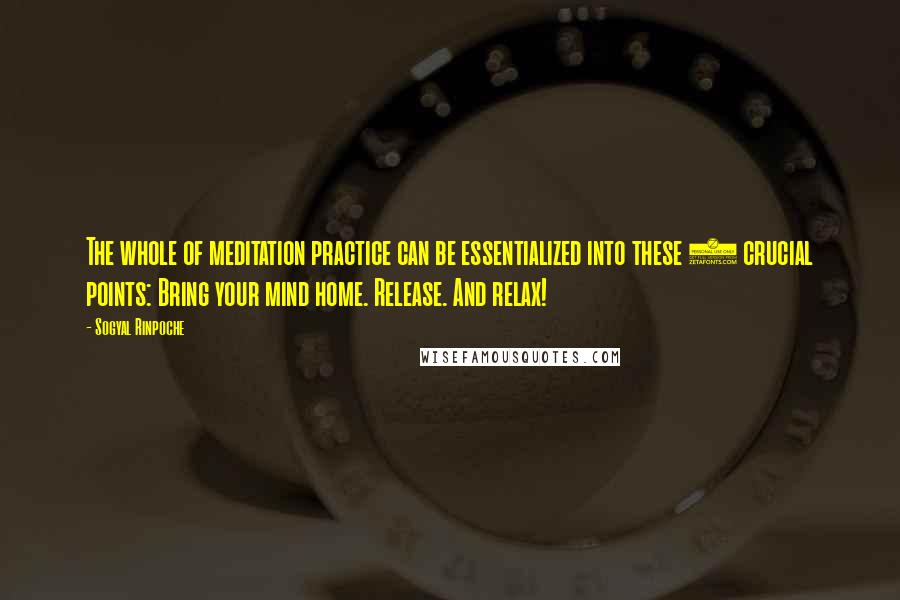 Sogyal Rinpoche Quotes: The whole of meditation practice can be essentialized into these 3 crucial points: Bring your mind home. Release. And relax!