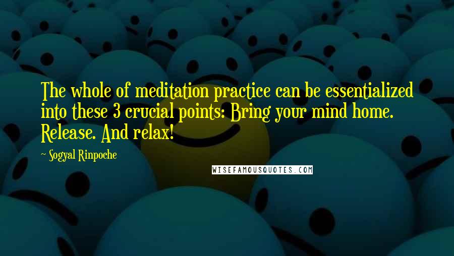 Sogyal Rinpoche Quotes: The whole of meditation practice can be essentialized into these 3 crucial points: Bring your mind home. Release. And relax!