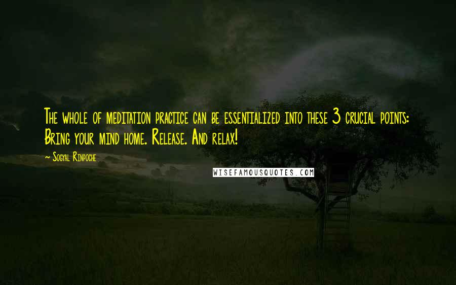 Sogyal Rinpoche Quotes: The whole of meditation practice can be essentialized into these 3 crucial points: Bring your mind home. Release. And relax!