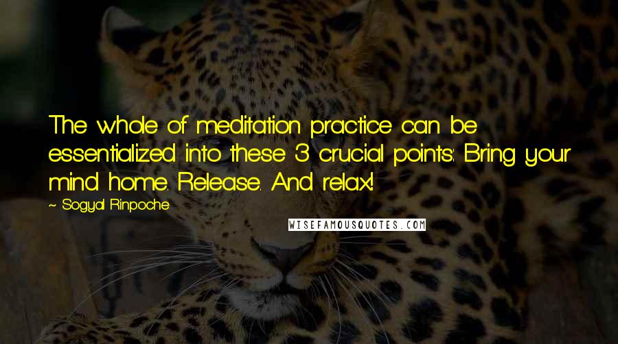 Sogyal Rinpoche Quotes: The whole of meditation practice can be essentialized into these 3 crucial points: Bring your mind home. Release. And relax!