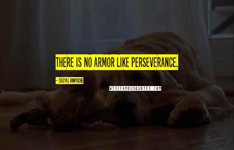 Sogyal Rinpoche Quotes: There is no armor like perseverance.