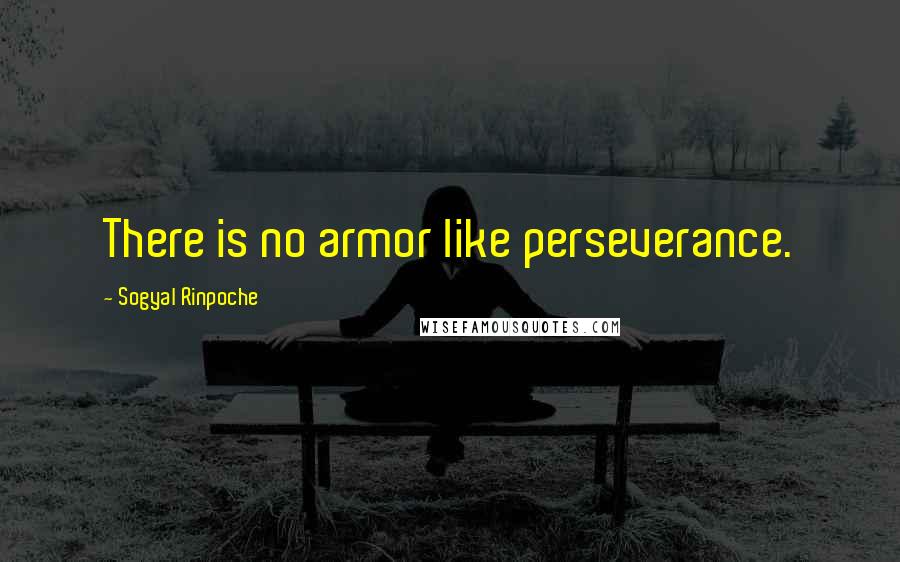 Sogyal Rinpoche Quotes: There is no armor like perseverance.