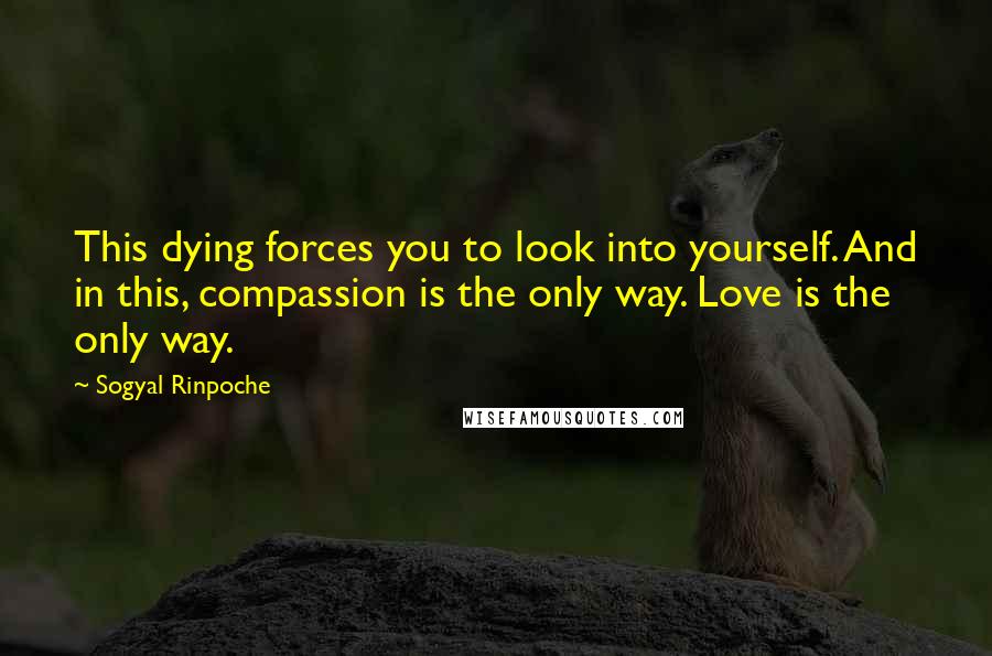 Sogyal Rinpoche Quotes: This dying forces you to look into yourself. And in this, compassion is the only way. Love is the only way.