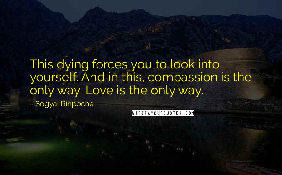 Sogyal Rinpoche Quotes: This dying forces you to look into yourself. And in this, compassion is the only way. Love is the only way.