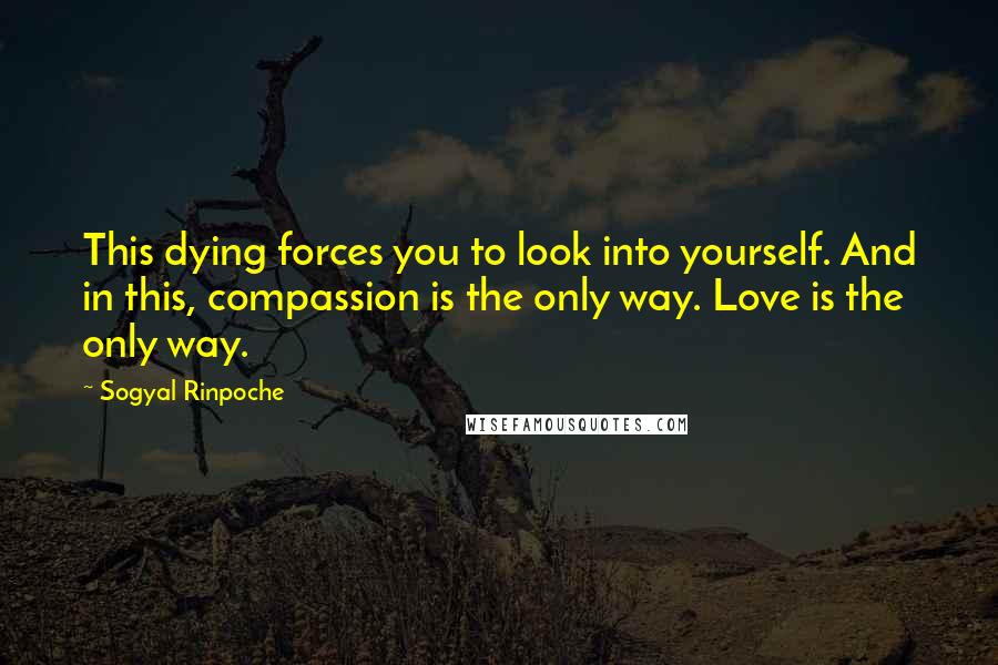 Sogyal Rinpoche Quotes: This dying forces you to look into yourself. And in this, compassion is the only way. Love is the only way.
