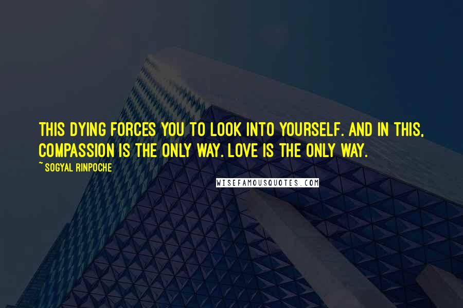 Sogyal Rinpoche Quotes: This dying forces you to look into yourself. And in this, compassion is the only way. Love is the only way.