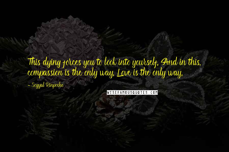 Sogyal Rinpoche Quotes: This dying forces you to look into yourself. And in this, compassion is the only way. Love is the only way.