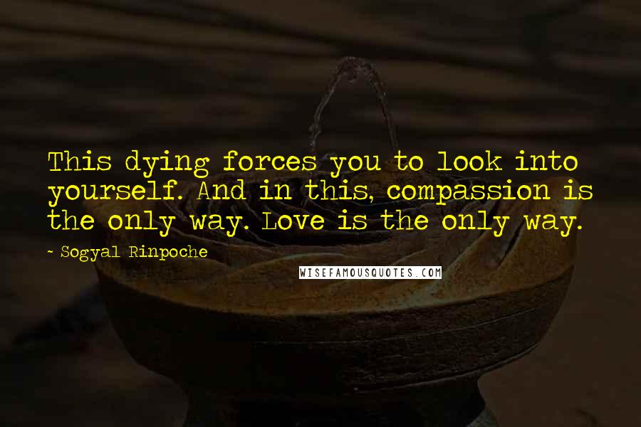 Sogyal Rinpoche Quotes: This dying forces you to look into yourself. And in this, compassion is the only way. Love is the only way.