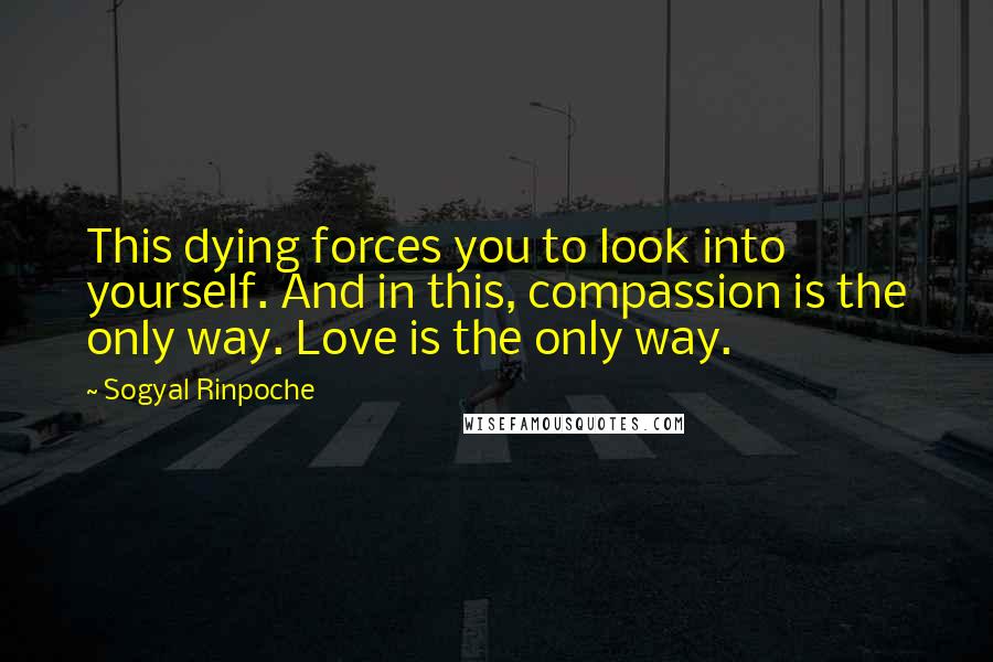 Sogyal Rinpoche Quotes: This dying forces you to look into yourself. And in this, compassion is the only way. Love is the only way.