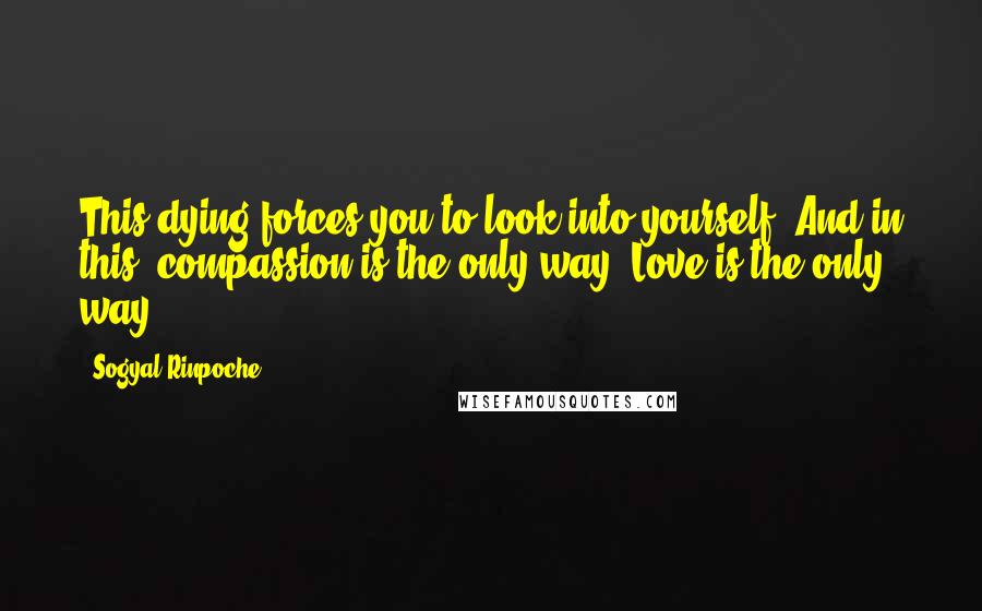 Sogyal Rinpoche Quotes: This dying forces you to look into yourself. And in this, compassion is the only way. Love is the only way.
