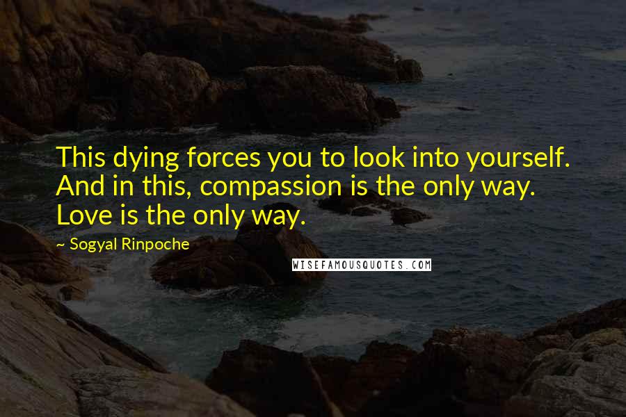 Sogyal Rinpoche Quotes: This dying forces you to look into yourself. And in this, compassion is the only way. Love is the only way.