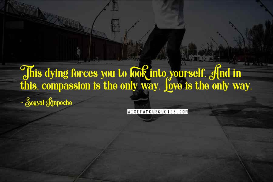 Sogyal Rinpoche Quotes: This dying forces you to look into yourself. And in this, compassion is the only way. Love is the only way.
