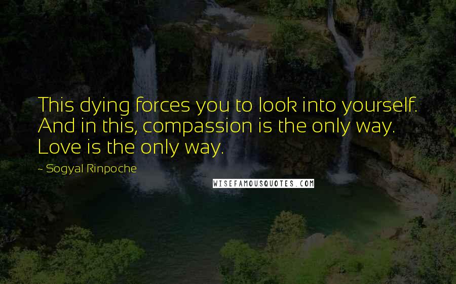 Sogyal Rinpoche Quotes: This dying forces you to look into yourself. And in this, compassion is the only way. Love is the only way.