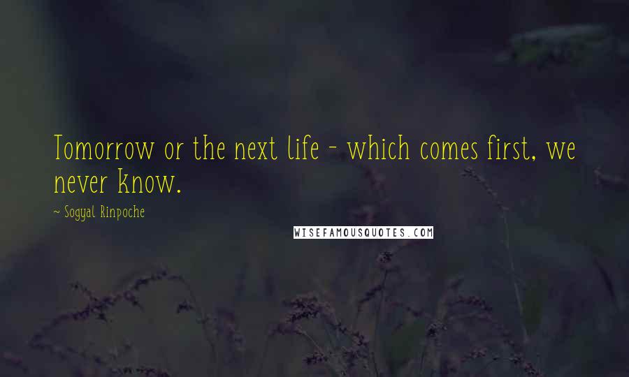 Sogyal Rinpoche Quotes: Tomorrow or the next life - which comes first, we never know.