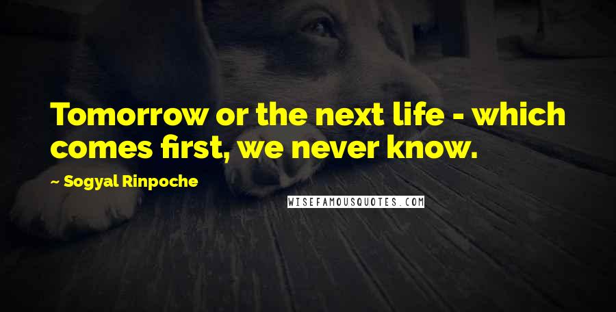 Sogyal Rinpoche Quotes: Tomorrow or the next life - which comes first, we never know.