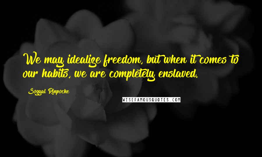 Sogyal Rinpoche Quotes: We may idealize freedom, but when it comes to our habits, we are completely enslaved.