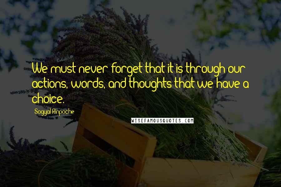 Sogyal Rinpoche Quotes: We must never forget that it is through our actions, words, and thoughts that we have a choice.