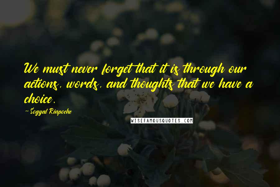 Sogyal Rinpoche Quotes: We must never forget that it is through our actions, words, and thoughts that we have a choice.