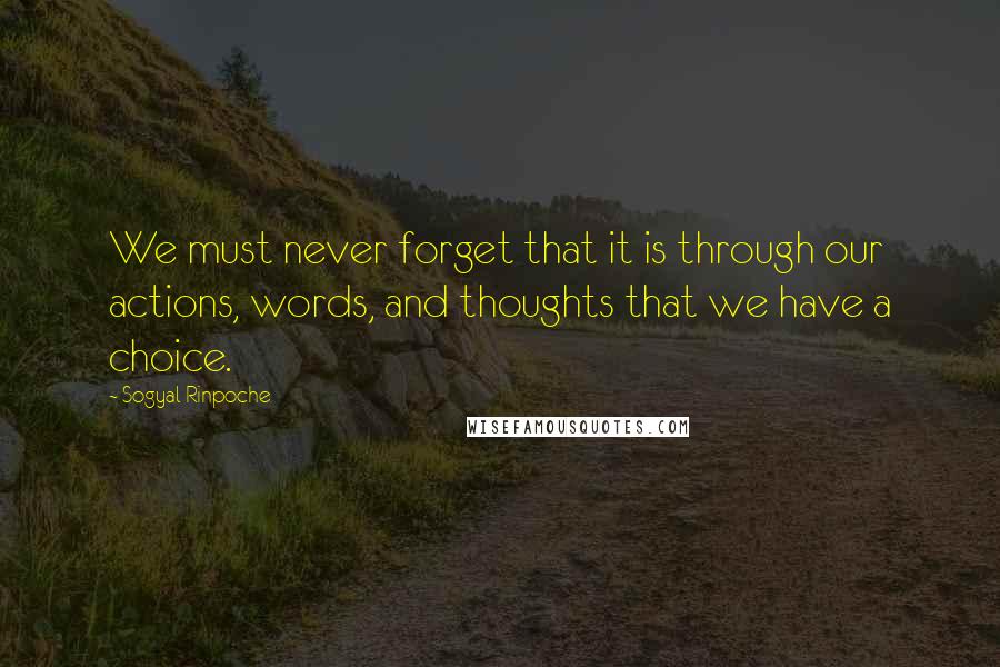 Sogyal Rinpoche Quotes: We must never forget that it is through our actions, words, and thoughts that we have a choice.