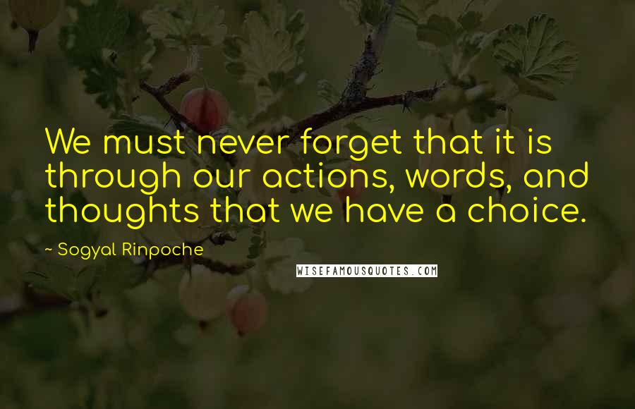 Sogyal Rinpoche Quotes: We must never forget that it is through our actions, words, and thoughts that we have a choice.