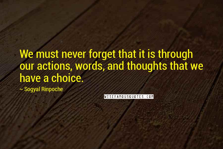 Sogyal Rinpoche Quotes: We must never forget that it is through our actions, words, and thoughts that we have a choice.