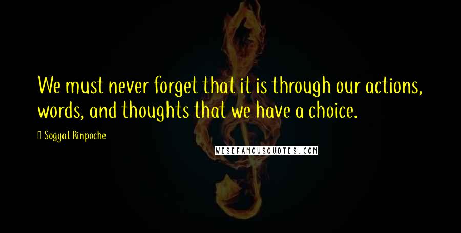 Sogyal Rinpoche Quotes: We must never forget that it is through our actions, words, and thoughts that we have a choice.