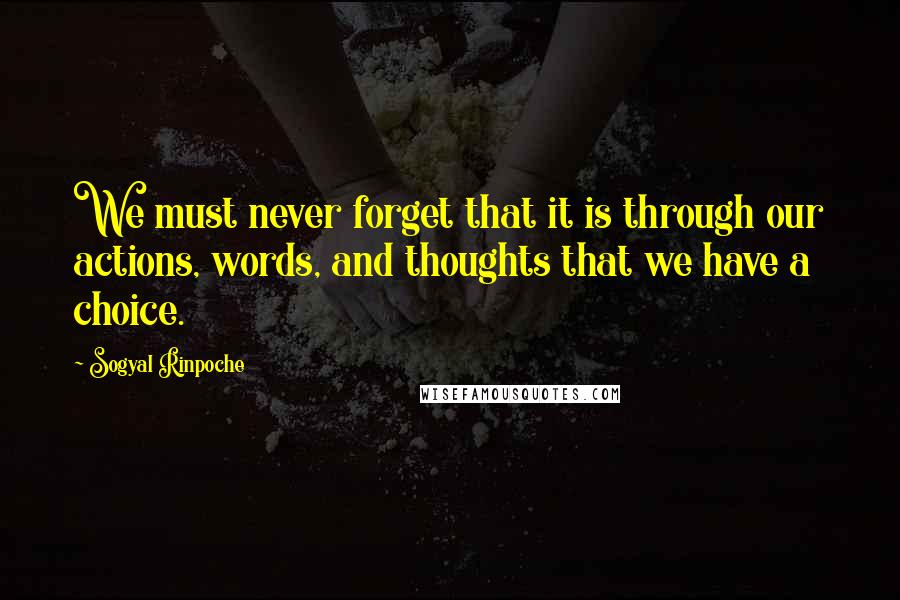 Sogyal Rinpoche Quotes: We must never forget that it is through our actions, words, and thoughts that we have a choice.