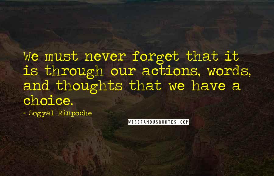 Sogyal Rinpoche Quotes: We must never forget that it is through our actions, words, and thoughts that we have a choice.