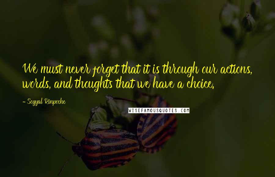 Sogyal Rinpoche Quotes: We must never forget that it is through our actions, words, and thoughts that we have a choice.