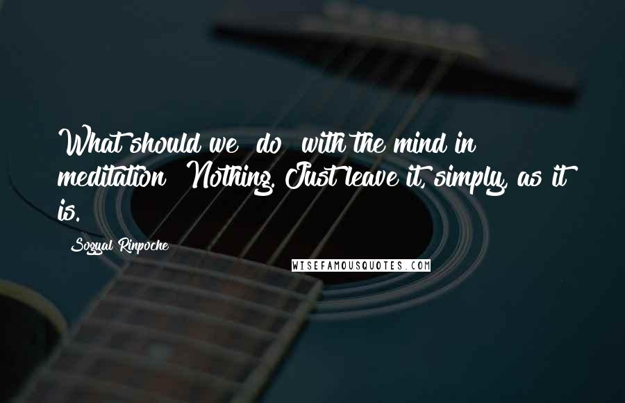 Sogyal Rinpoche Quotes: What should we "do" with the mind in meditation? Nothing. Just leave it, simply, as it is.