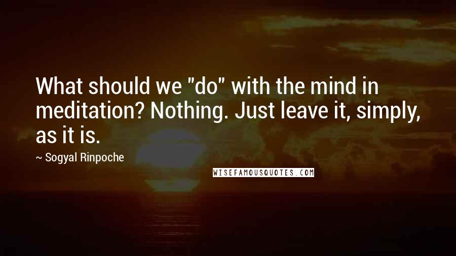 Sogyal Rinpoche Quotes: What should we "do" with the mind in meditation? Nothing. Just leave it, simply, as it is.