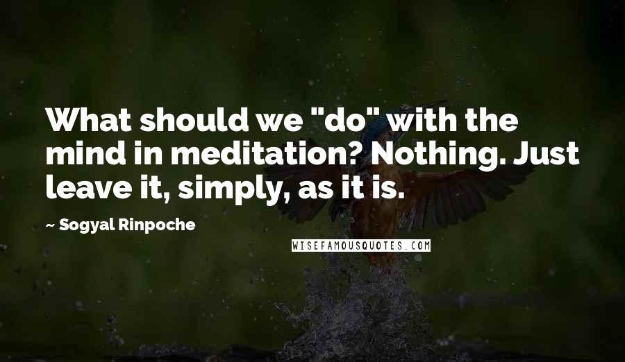 Sogyal Rinpoche Quotes: What should we "do" with the mind in meditation? Nothing. Just leave it, simply, as it is.