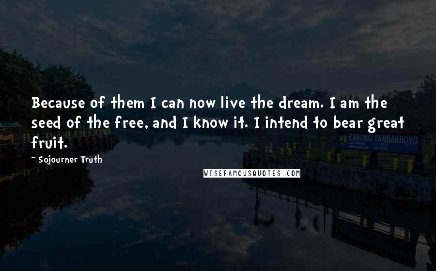 Sojourner Truth Quotes: Because of them I can now live the dream. I am the seed of the free, and I know it. I intend to bear great fruit.