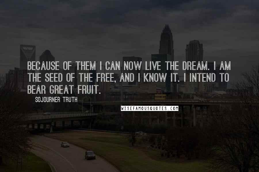 Sojourner Truth Quotes: Because of them I can now live the dream. I am the seed of the free, and I know it. I intend to bear great fruit.