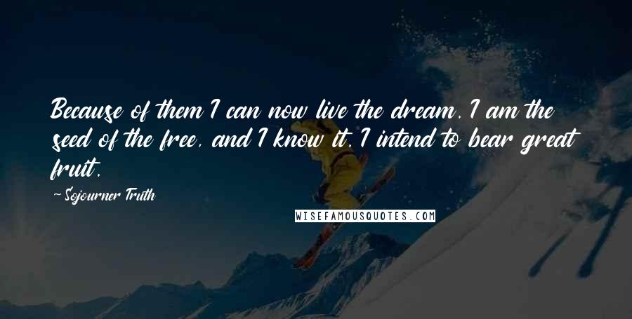 Sojourner Truth Quotes: Because of them I can now live the dream. I am the seed of the free, and I know it. I intend to bear great fruit.