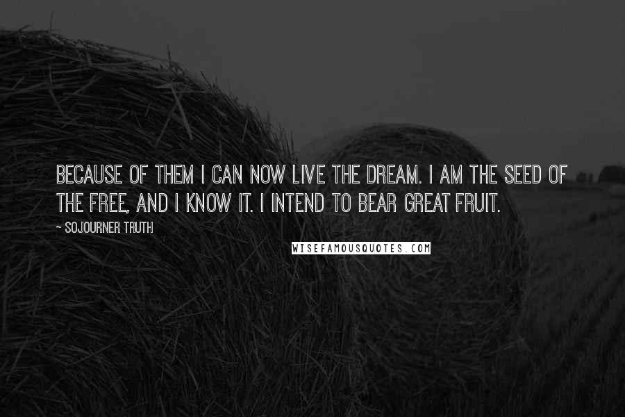 Sojourner Truth Quotes: Because of them I can now live the dream. I am the seed of the free, and I know it. I intend to bear great fruit.