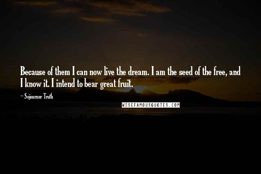 Sojourner Truth Quotes: Because of them I can now live the dream. I am the seed of the free, and I know it. I intend to bear great fruit.