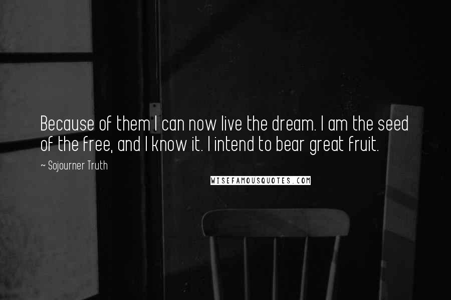 Sojourner Truth Quotes: Because of them I can now live the dream. I am the seed of the free, and I know it. I intend to bear great fruit.