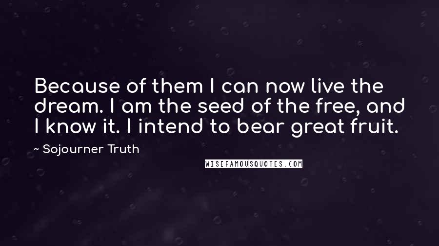 Sojourner Truth Quotes: Because of them I can now live the dream. I am the seed of the free, and I know it. I intend to bear great fruit.