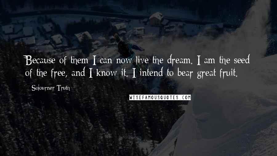 Sojourner Truth Quotes: Because of them I can now live the dream. I am the seed of the free, and I know it. I intend to bear great fruit.