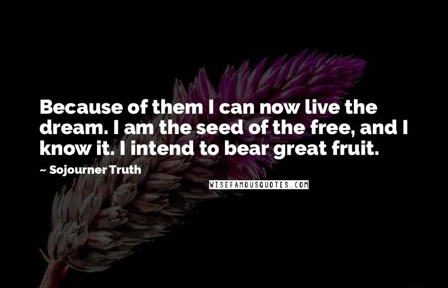 Sojourner Truth Quotes: Because of them I can now live the dream. I am the seed of the free, and I know it. I intend to bear great fruit.