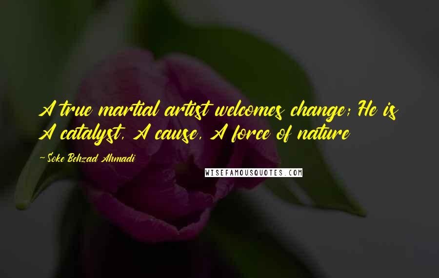 Soke Behzad Ahmadi Quotes: A true martial artist welcomes change; He is A catalyst, A cause, A force of nature