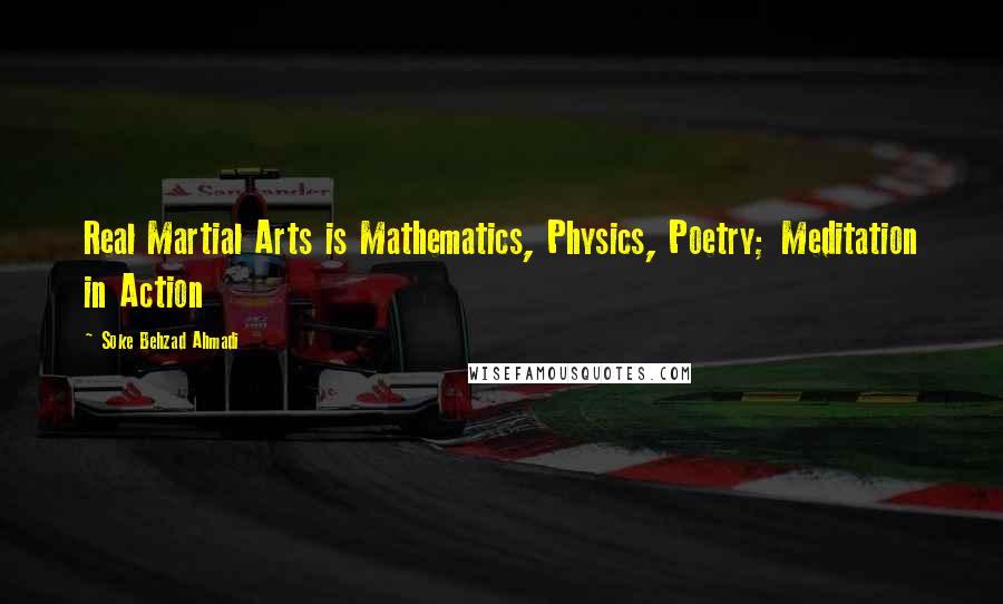 Soke Behzad Ahmadi Quotes: Real Martial Arts is Mathematics, Physics, Poetry; Meditation in Action