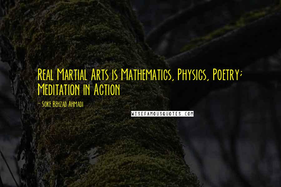 Soke Behzad Ahmadi Quotes: Real Martial Arts is Mathematics, Physics, Poetry; Meditation in Action