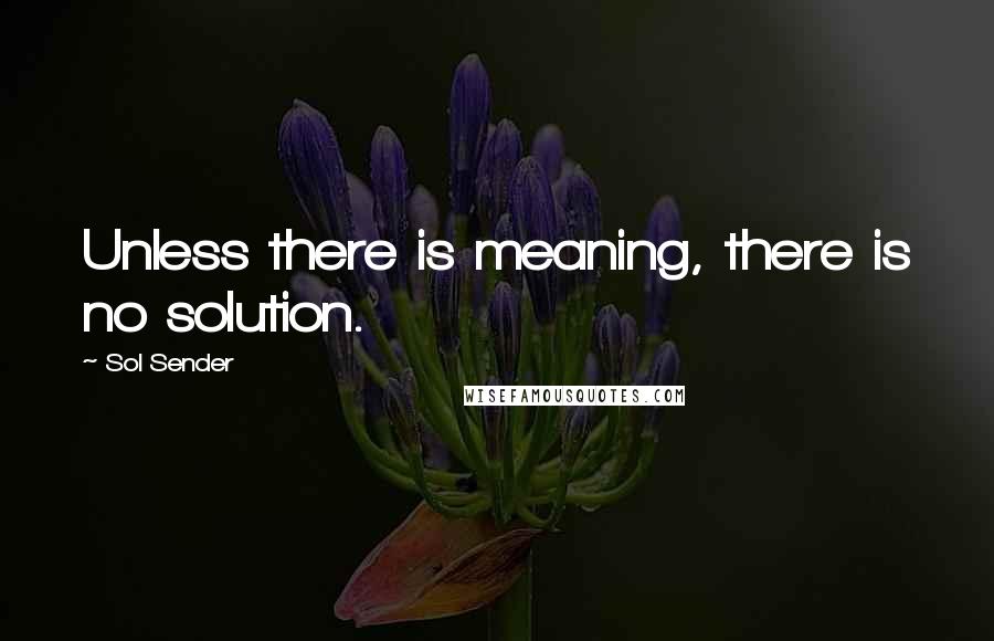 Sol Sender Quotes: Unless there is meaning, there is no solution.