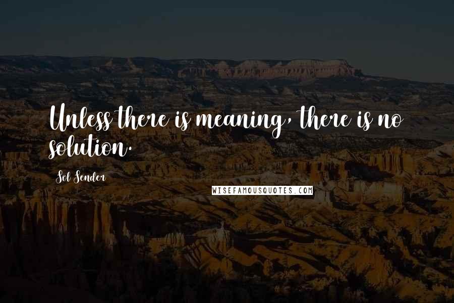 Sol Sender Quotes: Unless there is meaning, there is no solution.