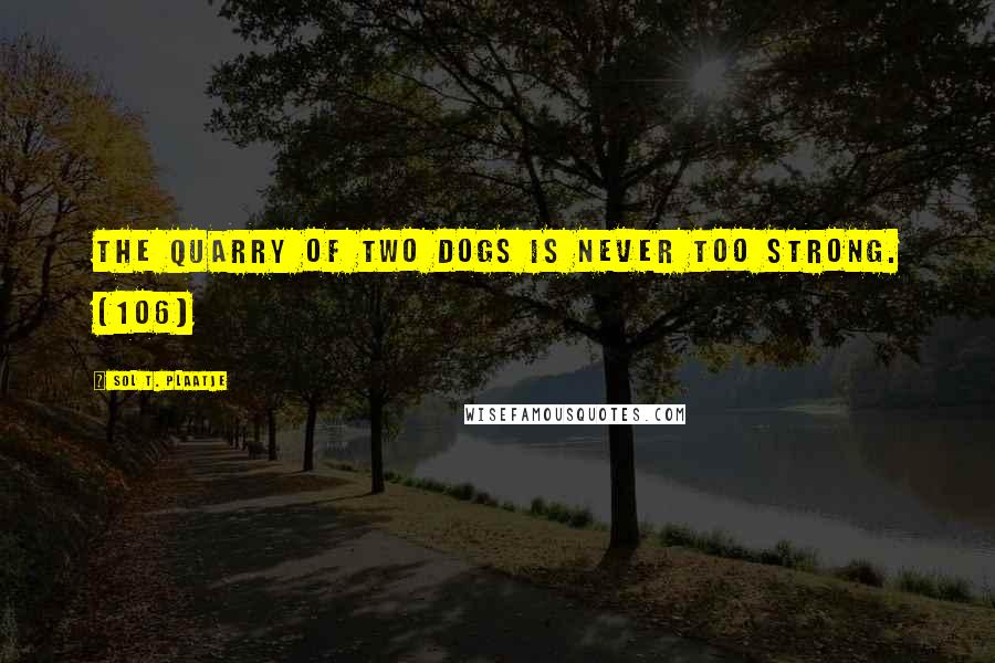 Sol T. Plaatje Quotes: The quarry of two dogs is never too strong. [106]